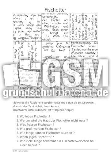 Fischotter.pdf